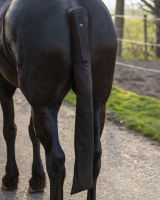 Tailprotector with bag