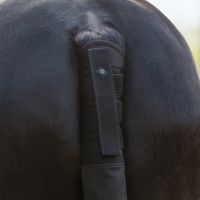 Tailprotector with bag