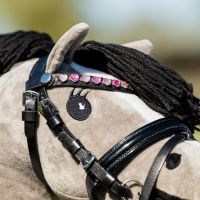 Browband Love Hobby horse