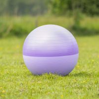 Horse football two-tone