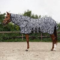 Fly rug with neck and hood