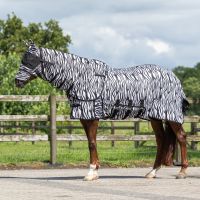 Fly rug with neck and hood