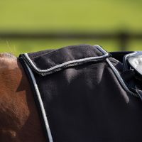 Exercise rug fleece ornament