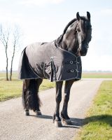Turnout rug Big neck 300gr