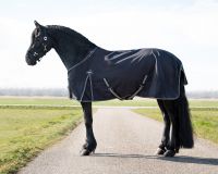 Turnout rug Big neck 300gr