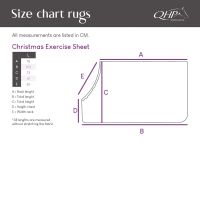 Christmas Exercise Sheet