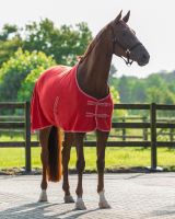 Fleece rug Color with cross surcingles