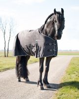 Turnout rug Big neck 0gr