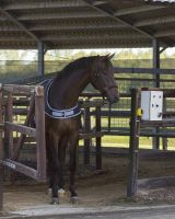 Walker rug waterproof 0gr