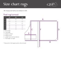 Foal rug turnout 100gr