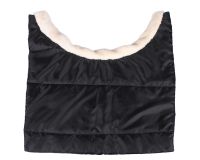 Chest protector Ontario