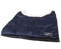 Chest protector Ontario