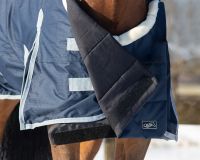 Chest protector Ontario