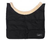 Chest protector Ontario