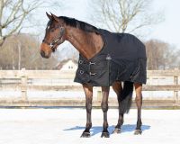 Rug combo set turnout-underrug-neck