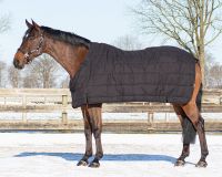 Rug combo set turnout-underrug-neck