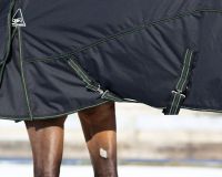 Rug combo set turnout-underrug-neck