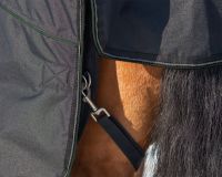 Rug combo set turnout-underrug-neck