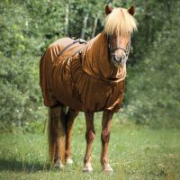 Eczema rug Icelandic