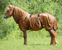 Eczema rug Icelandic