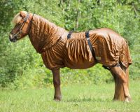 Eczema rug Icelandic