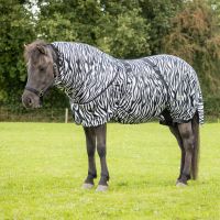 Eczema rug Icelandic