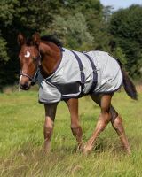Foal fly sheet