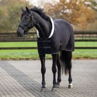Fleece rug Shine