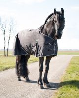 Turnout rug Big neck 150gr