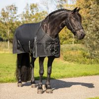 Turnout rug Big neck 150gr