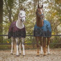 Turnout rug 1200D collection fleece lining