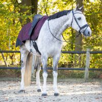 Exercise sheet 1200D turnout collection fleece