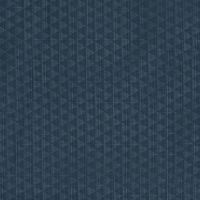 Dog rug 1200D turnout collection