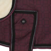 Dog rug 1200D turnout collection