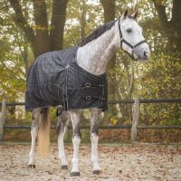 Turnout rug 1200D collection 300gr