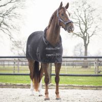 Show rug Sensisoft