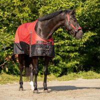 Turnout rug collection fleece lining