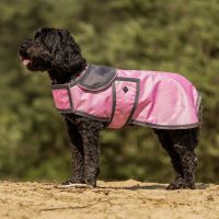 Dog rug turnout collection