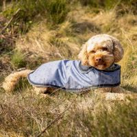 Dog rug turnout collection