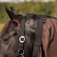 Eczema neck cover Big neck