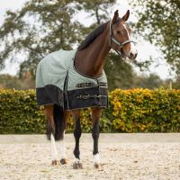Turnout rug 1200D collection 50gr