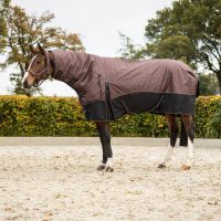 Turnout rug collection with neck 250gr