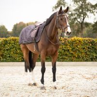 Exercise sheet 1200D turnout collection fleece