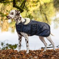 Dog rug 1200D turnout collection