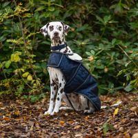 Dog rug 1200D turnout collection
