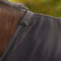 Show rug Avenna