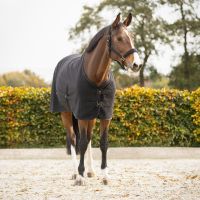 Show rug Avenna