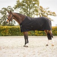 Show rug Avenna