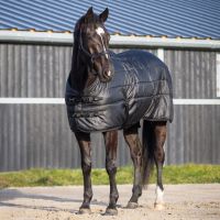 Stable rug Glitter 150gr