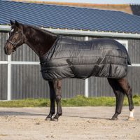 Stable rug Glitter 150gr